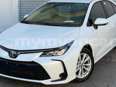 2024 Toyota Corolla